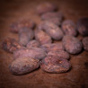 Pražené kakaové boby